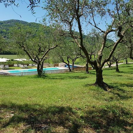 Villa Il Vecchio Gelso - Agriturismo Rimini Montefiore Conca Exterior foto