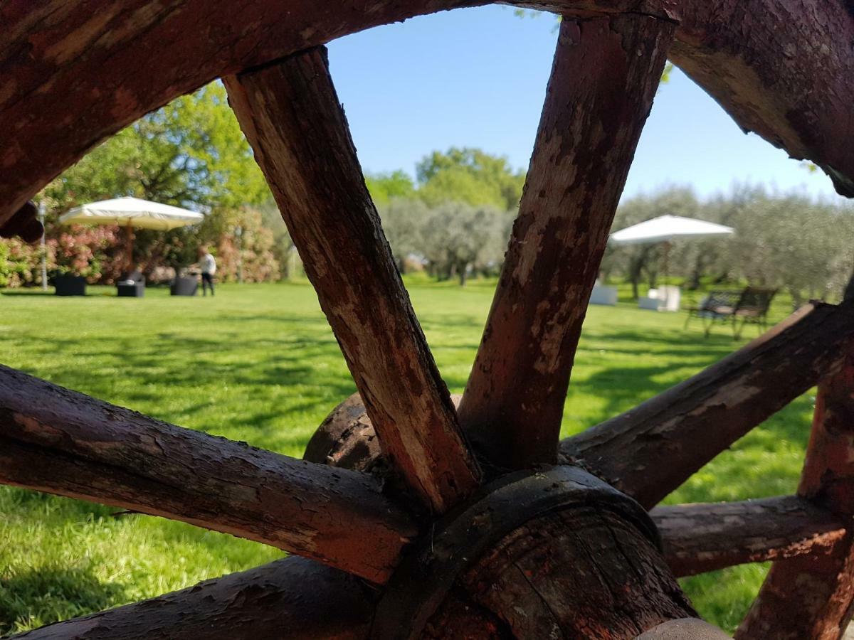 Villa Il Vecchio Gelso - Agriturismo Rimini Montefiore Conca Exterior foto