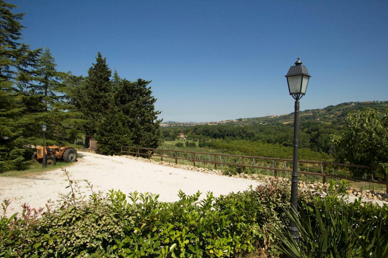 Villa Il Vecchio Gelso - Agriturismo Rimini Montefiore Conca Exterior foto