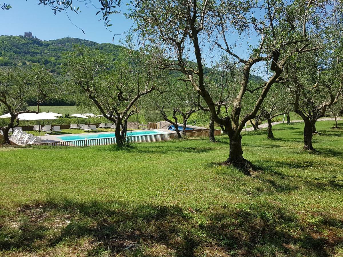 Villa Il Vecchio Gelso - Agriturismo Rimini Montefiore Conca Exterior foto